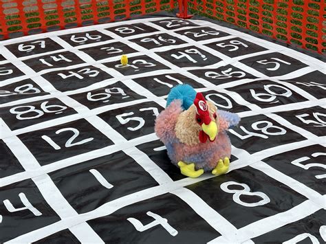 bingo boom chicken|The Big Apple: Chicken Bingo (Chicken Poop Bingo; Chicken.